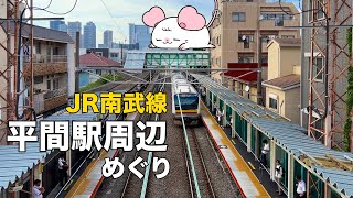 【昔ながらの商店街】平間駅周辺めぐり【不動産屋さんの街紹介】