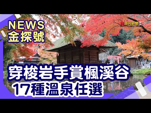 日本東北賞楓|岩手 猊鼻溪 中尊寺 金色堂 毛越寺 嚴美溪 前沢牛オガタ駅東店 世界遺產隱宿果實之森旅館