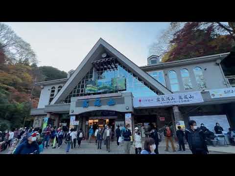 【東京。賞楓推薦景點】高尾山的紅葉 (2022/11)