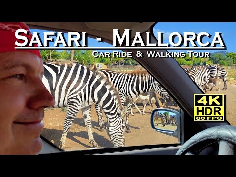 Safari Zoo Mallorca , Spain 4K 60fps HDR (UHD) Dolby Atmos 💖 Safari Car Ride and Walking Tour