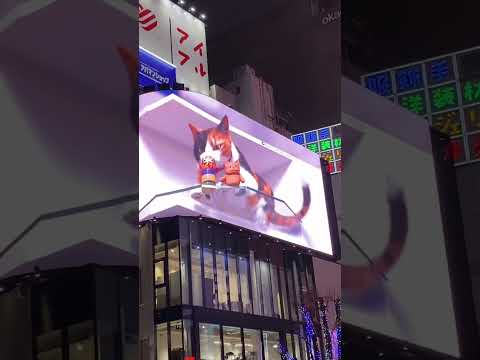 3D Billboard Cat In Tokyo Shinjyuku #shorts