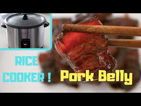 RICE COOKER Braised PORK BELLY ! Hong Shao Rou 紅燒肉