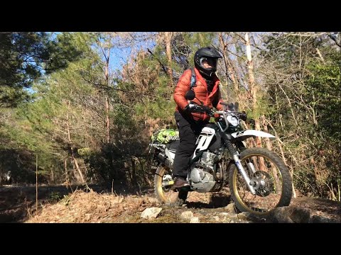 【FRRT2024.2.18】Bikeshop "Forest"" Ramen Rindo Touring - serow250 セロー250