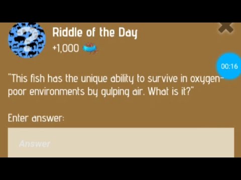 Zoo riddle of the Day code | riddle of the Day Zoo 21 Dec | riddle of the Day today🔥