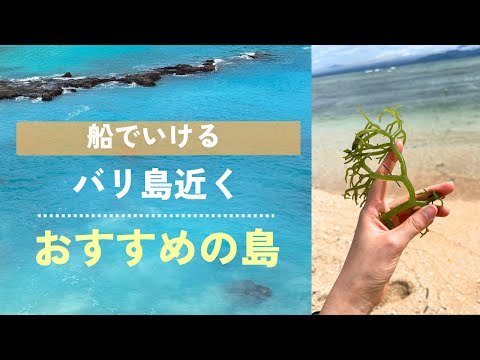 【バリ島から行ける】おすすめの島✨レンボンガン島＆チュニンガン島