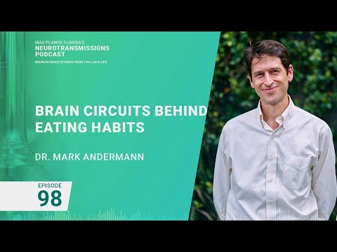 Podcast Episode 98 - Brain Circuits Behind Eating Habits | Mark Andermann