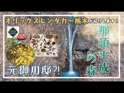 【那須観光】大自然とふれあおう！『那須平成の森』