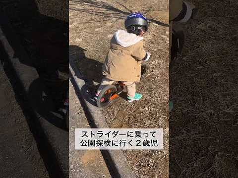 ストライダーに乗って公園探検に行く2歳9ヶ月 #shorts #2歳児