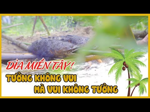 Dìa miền Tây - Tưởng không vui mà vui không tưởng | Tui là người miền Tây - Tập 01