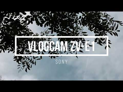 SONY VLOGCAM ZV-E1！1日撮り歩いたのをつないだだけの動画