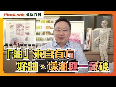 【飲食百科】 油 ＝唔健康？｜食得多炸物會致癌？ ｜拆解大眾對食用油的誤解！