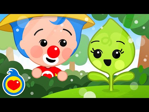 Fotosíntesis 🌞 ¡Hola Plantita! 🍃 Canciones Infantiles | Plim Plim