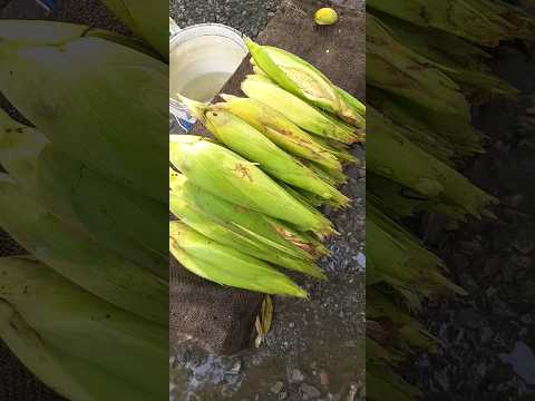 Boiled Sweet Corn  Recipe // Sweet Corn Chat Recipe/ #shorts