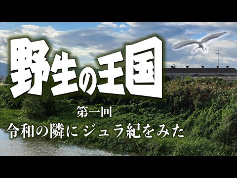 【野生の王国】第一回 令和の隣にジュラ紀を見た