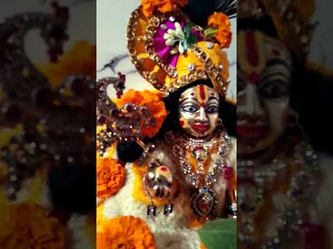 सभी को शुभ रात्रि हरे कृष्णा राधे राधे#love #lordkrishna #youtube #viralvideo #short