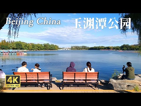 【北京·海淀】秋风轻拂，落叶无声，漫步~北京玉渊潭公园 Discover the Real China in 4K HDR