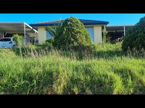 Neighbours ANGRY With 70 Yr Old DISABLED Man's OVERGROWN Lawn & DEMAND It's MOWED