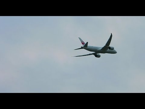 天草エアライン・みぞか号！伊丹空港ライブ配信! Vol.1 Plane Spotting Live!  Osaka International Airport 12/16/2024