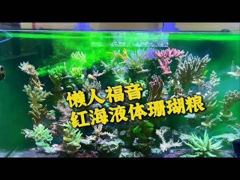 懒人福音AB能量水 直接往缸里倒