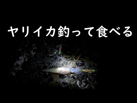 【餌巻きテーラー】ヤリイカ釣って食べる