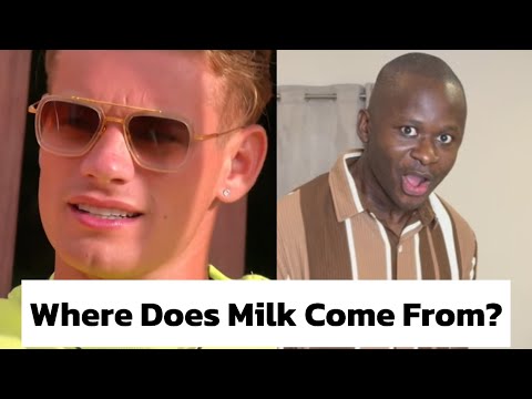 I Don’t know Where Milk Comes From