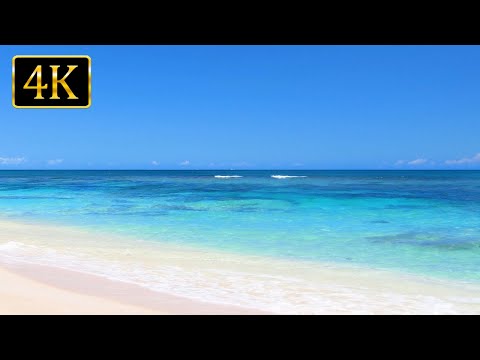 Beach Therapy: Soothing Ocean Sounds for Deep Relaxation and Sleep (4K UHD)