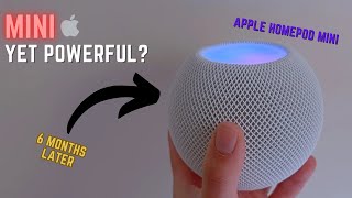 Apple HomePod Mini surpasses expectations - 6 Months Later review