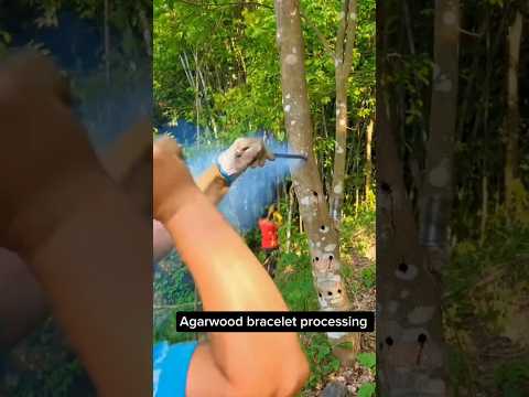 How Precious Agarwood Bracelet Is Made Amazing #interesting #amazingfacts #technology