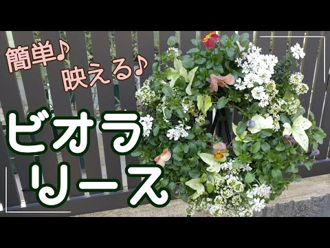 冬の庭に映える♡ビオラのリース