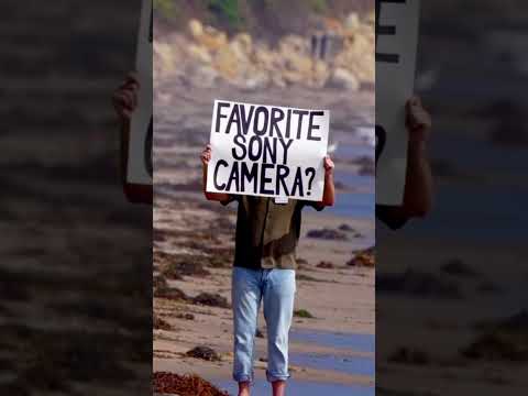 Found someone on the beach, using our 200-600MM lens, asking a very important question... 📷 ⬇️