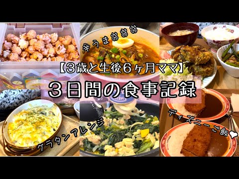 【２児ママの３日間の食事記録】夜泣きが始まりました😂/ コミュ障には電話が辛い話 / ディズニーの食べたもの記録 / 3歳児と生後６ヶ月とのくらし