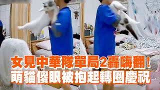 女見中華隊單局2轟嗨翻！萌貓傻眼被抱起轉圈慶祝｜貓咪