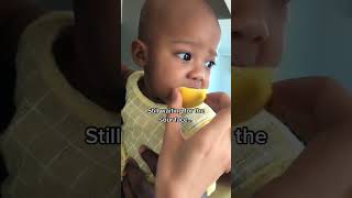 Wait for it 😝 🍋 #baby #lol #comedy #babyprank #babygirl #funnybaby #mixedbaby #shorts