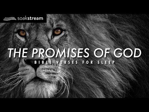 The Promises of God | Bible Verses For Sleep