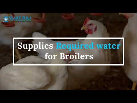 Grower Feeder & Drinker AVS for Sale at Vijay Raj India