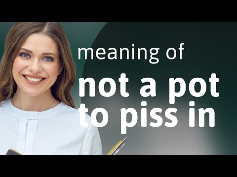 Understanding "Not a Pot to Piss In": A Deep Dive into English Idioms