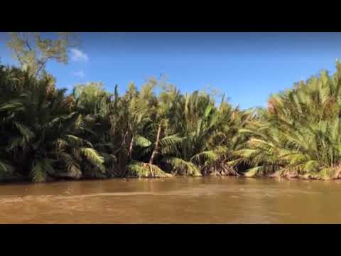 20180216 馬來西亞亞庇 02 Weston Proboscis Monkey Sanctuary