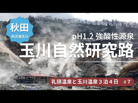 玉川温泉の元！強酸性の源泉がぼっこぼっこ吹き出る玉川温泉自然研究路＜乳頭温泉郷と玉川温泉の旅7＞