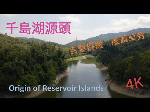 千島湖源頭 – 吉慶橋邊 – 蘆葦草旁 – 打卡上上之選 - Origin of Reservoir Islands -  ｛香港行山 Hong Kong Hiking｝