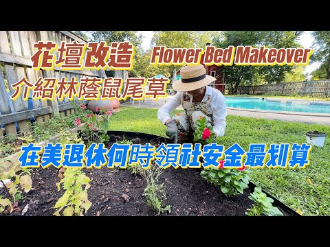 【華園花道】花壇改造｜介紹林蔭鼠尾草｜在美國退休何時領取社安金最划算｜ Flower Bed Makeover｜When Is The Best Time To Receive SS In US