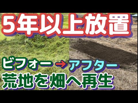 【1,000平米の荒地を再生】5年以上手付かずの田舎の別荘地にある荒地を魅力的な畑にする