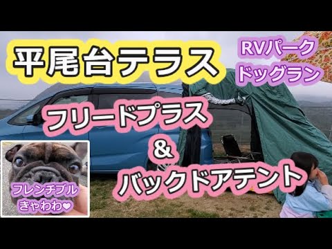 【RVパーク＆ドッグラン】平尾台テラスでフリードプラス＆バックドアテント泊【北九州小倉南区】