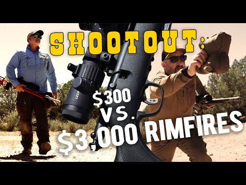 Shootout: $300 Savage vs. $3,000-Plus Rimfires