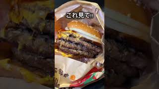 【期間限定】バーガーキングの食べ放題に行ってきた！【全国】