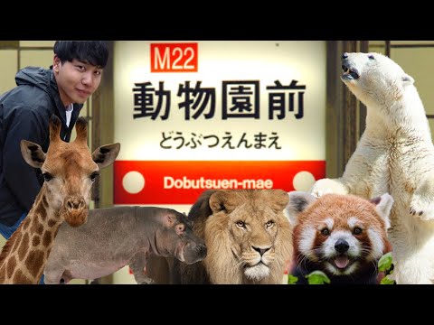 【爆笑】都会っ子な動物たちの心の声を聞いてみたら｜天王寺動物園