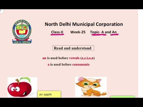 Class 2 | A and An | English Week 25 | FirstStep | worksheet solution Date 10.12.2020