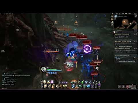 Throne and Liberty - Voidlance(Spear/Wand) Shadowed Crypt Daily Grind #2