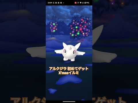 アルクジラを初めて🌟クリスマスイルミをバックに #ポケモンgo #tokyo #japan #pokemongo #pokemon #pokémon #ポケモン #ゲーム #gaming #games