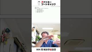 【 #国試1分道場 ・生殖器系】子宮について誤っているのはどれか。　１．中腔性の器官である　２．子宮底に卵管が開口する　３．粘膜の基底層が脱落する　４．筋層は3層からなる #かずひろ先生 #解剖学