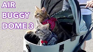 【AIRBUGGY】ペットカートで河川敷へ（前編） We Got a Cat Stroller!【アメリカンショートヘア】オススメ エアバギー DOME3 子猫